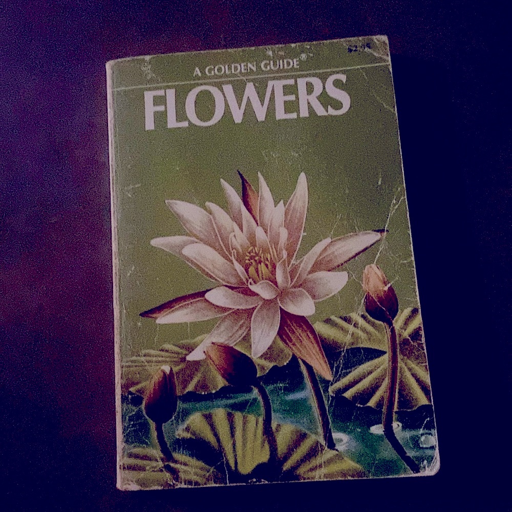 A golden guide - flowers
